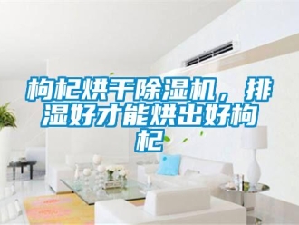 企業新聞枸杞烘干除濕機，排濕好才能烘出好枸杞