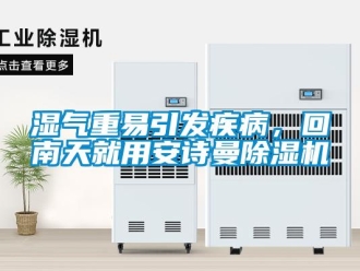 企業新聞濕氣重易引發疾病，回南天就用安詩曼除濕機