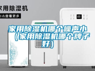 常見問題家用除濕機哪個噪聲小（家用除濕機哪個牌子好）