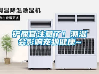 企業新聞鏟屎官注意了！潮濕會影響寵物健康~