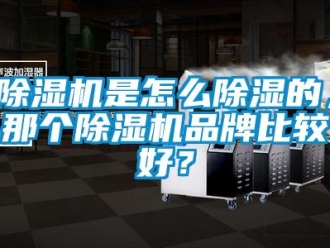 常見問題除濕機是怎么除濕的，那個除濕機品牌比較好？