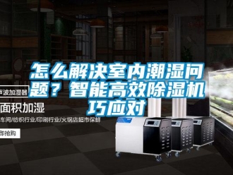 常見問題怎么解決室內潮濕問題？智能高效除濕機巧應對