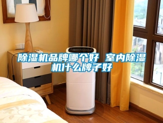 企業新聞除濕機品牌哪個好 室內除濕機什么牌子好