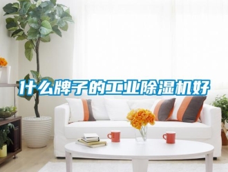 知識百科什么牌子的工業除濕機好