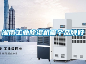 常見問題湖南工業(yè)除濕機(jī)哪個(gè)品牌好