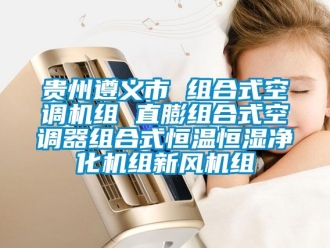 知識百科貴州遵義市 組合式空調機組 直膨組合式空調器組合式恒溫恒濕凈化機組新風機組
