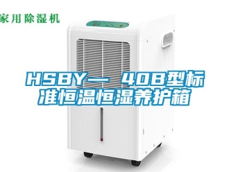 常見問題HSBY— 40B型標準恒溫恒濕養護箱