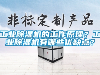 常見問題工業(yè)除濕機(jī)的工作原理？工業(yè)除濕機(jī)有哪些優(yōu)缺點(diǎn)？
