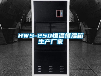 常見問題HWS-250恒溫恒濕箱生產廠家