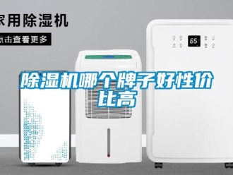 常見問題除濕機哪個牌子好性價比高