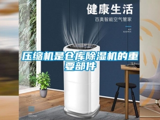知識百科壓縮機是倉庫除濕機的重要部件