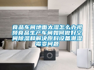 企業新聞食品車間地面太濕怎么辦視頻食品生產車間如何做好空間除濕和解決原料設備潮濕霉變問題