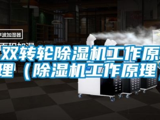 常見問題雙轉(zhuǎn)輪除濕機工作原理（除濕機工作原理）