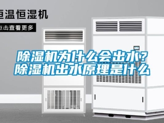 企業新聞除濕機為什么會出水？除濕機出水原理是什么