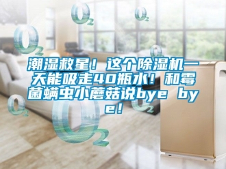 企業(yè)新聞潮濕救星！這個除濕機一天能吸走40瓶水！和霉菌螨蟲小蘑菇說bye bye！