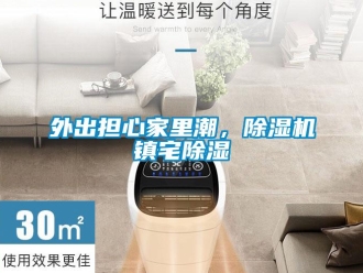 知識百科外出擔心家里潮，除濕機鎮宅除濕