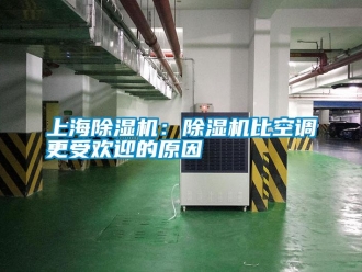 知識百科上海除濕機：除濕機比空調更受歡迎的原因