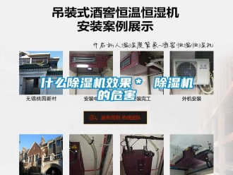行業(yè)新聞什么除濕機(jī)效果＊ 除濕機(jī)的危害