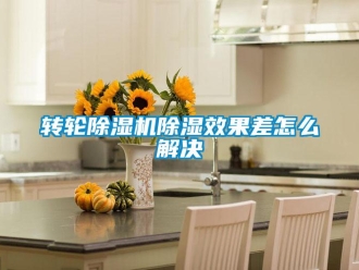 常見問題轉輪除濕機除濕效果差怎么解決