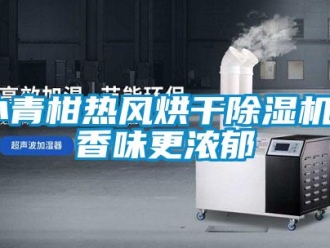 知識百科小青柑熱風烘干除濕機 香味更濃郁