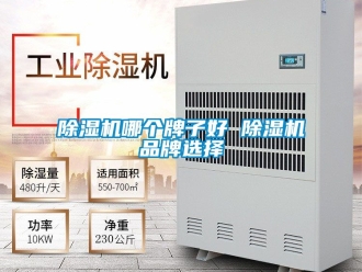企業新聞除濕機哪個牌子好 除濕機品牌選擇