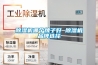 除濕機哪個牌子好 除濕機品牌選擇