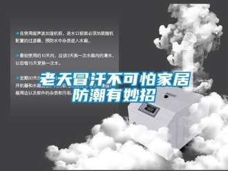 行業(yè)新聞老天冒汗不可怕家居防潮有妙招