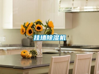 企業(yè)新聞掛墻除濕機