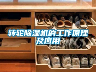 常見問題轉輪除濕機的工作原理及應用