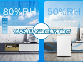 企業(yè)新聞冬天為什么除濕機不除濕