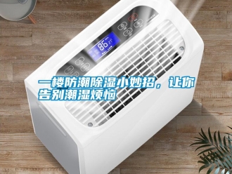 知識百科一樓防潮除濕小妙招，讓你告別潮濕煩惱