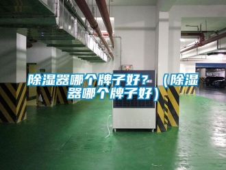 行業新聞除濕器哪個牌子好？（除濕器哪個牌子好）