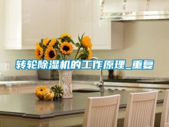 常見問題轉輪除濕機的工作原理_重復