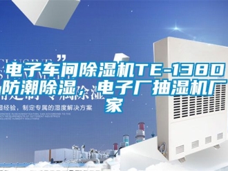 企業(yè)新聞電子車間除濕機TE-138D防潮除濕，電子廠抽濕機廠家