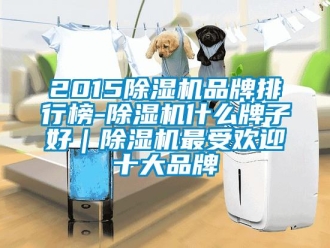 企業新聞2015除濕機品牌排行榜-除濕機什么牌子好｜除濕機最受歡迎十大品牌