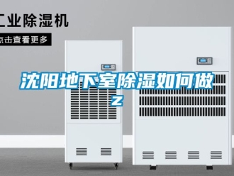 企業(yè)新聞沈陽地下室除濕如何做z
