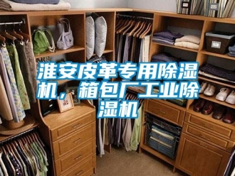 常見問題淮安皮革專用除濕機，箱包廠工業除濕機