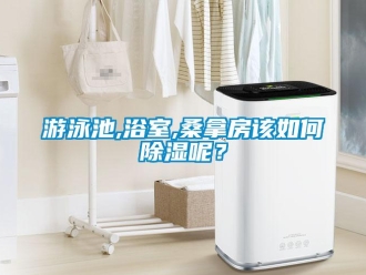 常見問題游泳池,浴室,桑拿房該如何除濕呢？
