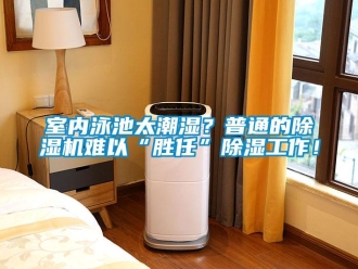 知識百科室內泳池太潮濕？普通的除濕機難以“勝任”除濕工作！