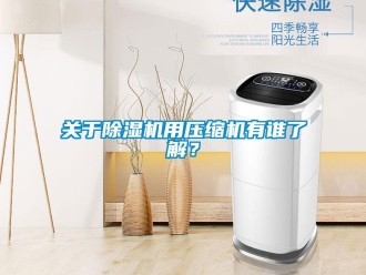 企業新聞關于除濕機用壓縮機有誰了解？