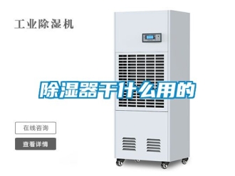 行業新聞除濕器干什么用的