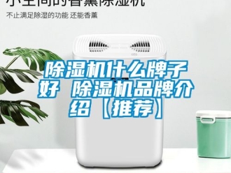 企業新聞除濕機什么牌子好 除濕機品牌介紹【推薦】