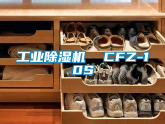 常見問題工業除濕機  CFZ-10S