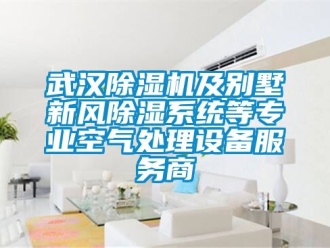 常見問題武漢除濕機及別墅新風除濕系統等專業空氣處理設備服務商