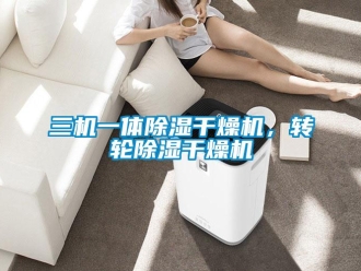 常見問題三機一體除濕干燥機，轉輪除濕干燥機