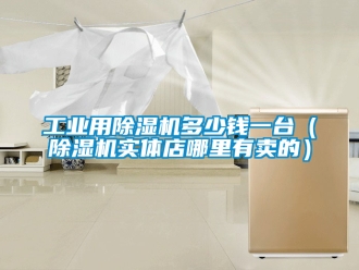 常見問題工業用除濕機多少錢一臺（除濕機實體店哪里有賣的）
