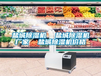 企業新聞鹽城除濕機  鹽城除濕機廠家  鹽城除濕機價格