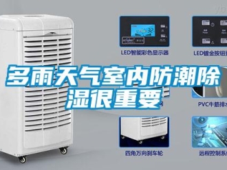 企業(yè)新聞多雨天氣室內(nèi)防潮除濕很重要