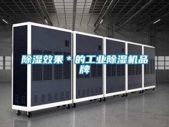 常見問題除濕效果＊的工業除濕機品牌