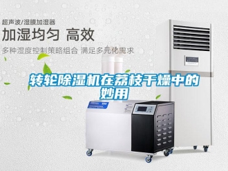 知識百科轉輪除濕機在荔枝干燥中的妙用